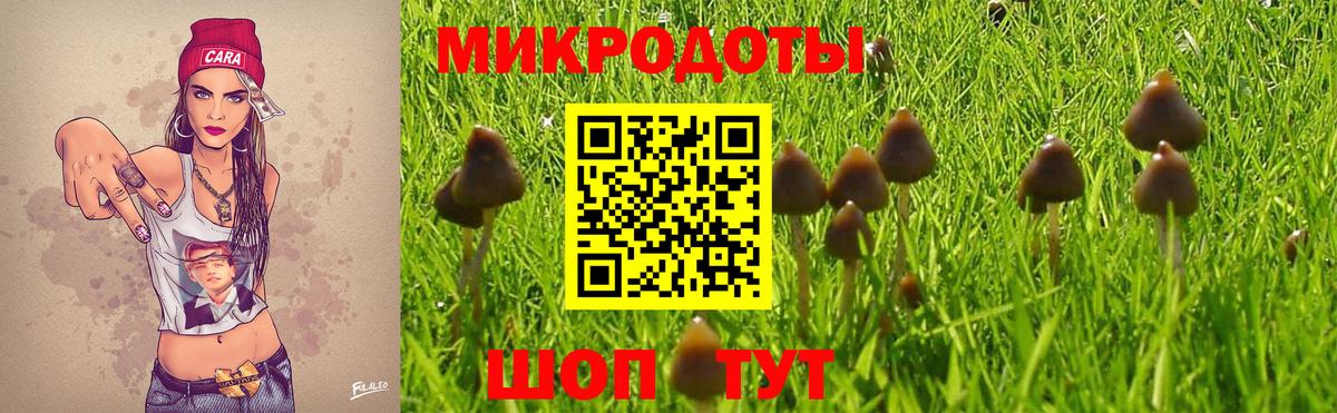 Псилоцибиновые грибы прущие грибы Ликино-Дулёво